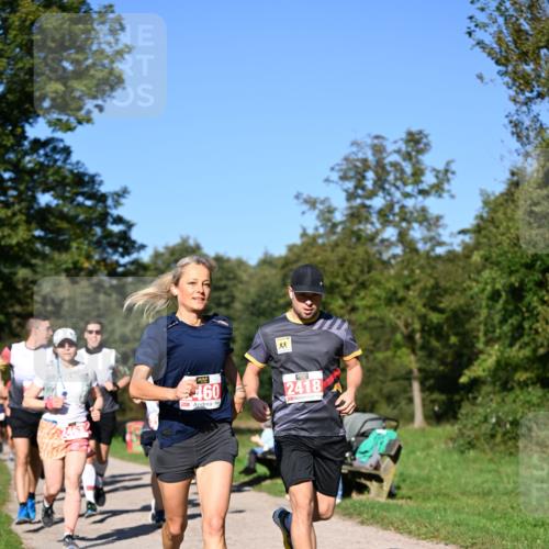 22.09.2024 - 32. Volkslauf durch das schöne Alstertal Dr. Thomas Lammeyer http://msf.ph/oto/7107046 22.09.2024 10:26:43 Laufen 460, 2418 meine-sportfotos.de