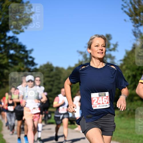 22.09.2024 - 32. Volkslauf durch das schöne Alstertal Dr. Thomas Lammeyer http://msf.ph/oto/7107053 22.09.2024 10:26:44 Laufen 2460 meine-sportfotos.de