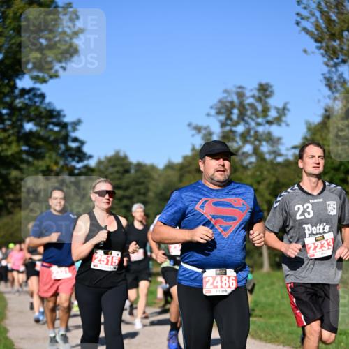 22.09.2024 - 32. Volkslauf durch das schöne Alstertal Dr. Thomas Lammeyer http://msf.ph/oto/7107120 22.09.2024 10:26:57 Laufen 2515, 2486, 23, 2233 meine-sportfotos.de