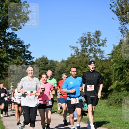 22.09.2024 - 32. Volkslauf durch das schöne Alstertal Dr. Thomas Lammeyer http://msf.ph/oto/7107158 22.09.2024 10:27:05 Laufen 2539, 2957, 2125, 2546 meine-sportfotos.de