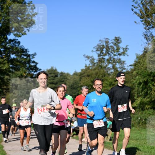 22.09.2024 - 32. Volkslauf durch das schöne Alstertal Dr. Thomas Lammeyer http://msf.ph/oto/7107160 22.09.2024 10:27:05 Laufen 212, 2546, 2539 meine-sportfotos.de