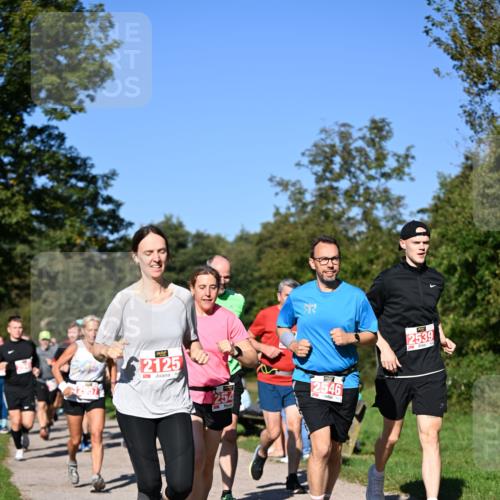 22.09.2024 - 32. Volkslauf durch das schöne Alstertal Dr. Thomas Lammeyer http://msf.ph/oto/7107161 22.09.2024 10:27:05 Laufen 12, 2539, 2957, 2125, 254, 2546 meine-sportfotos.de