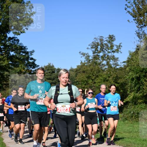 22.09.2024 - 32. Volkslauf durch das schöne Alstertal Dr. Thomas Lammeyer http://msf.ph/oto/7107199 22.09.2024 10:27:15 Laufen 2178, 233, 2280, 2023, 213, 2499 meine-sportfotos.de