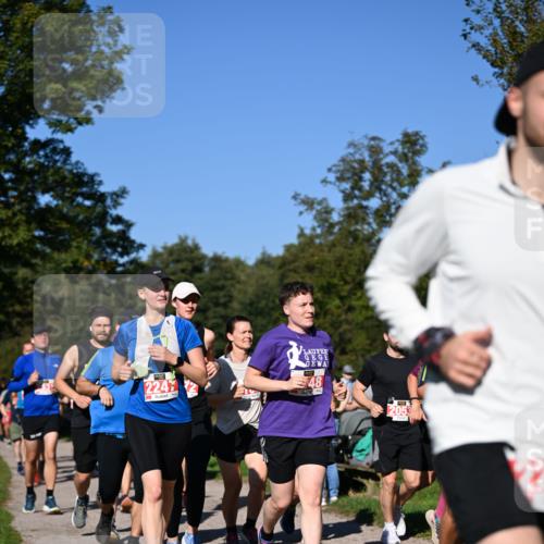 22.09.2024 - 32. Volkslauf durch das schöne Alstertal Dr. Thomas Lammeyer http://msf.ph/oto/7107258 22.09.2024 10:27:29 Laufen 2247, 48, 205 meine-sportfotos.de