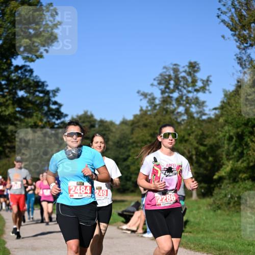 22.09.2024 - 32. Volkslauf durch das schöne Alstertal Dr. Thomas Lammeyer http://msf.ph/oto/7107287 22.09.2024 10:27:39 Laufen 2484, 249, 2286 meine-sportfotos.de