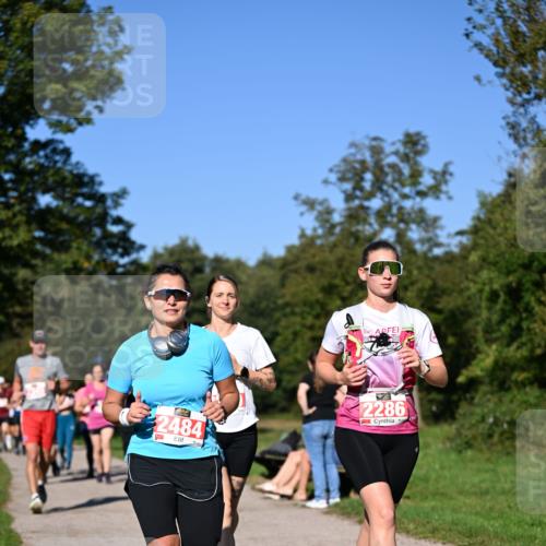 22.09.2024 - 32. Volkslauf durch das schöne Alstertal Dr. Thomas Lammeyer http://msf.ph/oto/7107288 22.09.2024 10:27:39 Laufen 2484, 2286 meine-sportfotos.de
