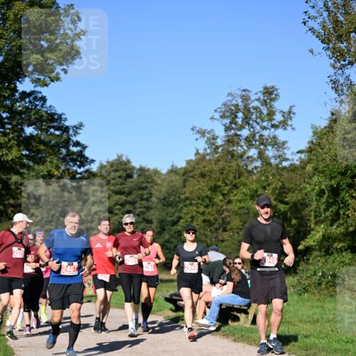 22.09.2024 - 32. Volkslauf durch das schöne Alstertal Dr. Thomas Lammeyer http://msf.ph/oto/7107326 22.09.2024 10:27:49 Laufen 2005, 2467, 2326, 2949, 948 meine-sportfotos.de