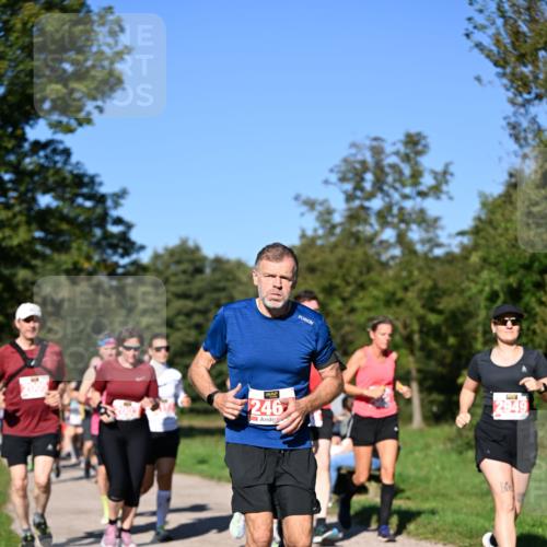 22.09.2024 - 32. Volkslauf durch das schöne Alstertal Dr. Thomas Lammeyer http://msf.ph/oto/7107335 22.09.2024 10:27:51 Laufen 246, 2949 meine-sportfotos.de