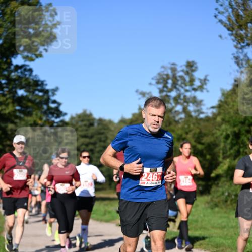 22.09.2024 - 32. Volkslauf durch das schöne Alstertal Dr. Thomas Lammeyer http://msf.ph/oto/7107337 22.09.2024 10:27:51 Laufen 2467 meine-sportfotos.de