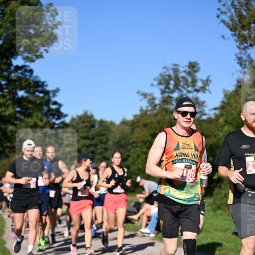 22.09.2024 - 32. Volkslauf durch das schöne Alstertal Dr. Thomas Lammeyer http://msf.ph/oto/7107368 22.09.2024 10:27:58 Laufen 15, 186, 21 meine-sportfotos.de