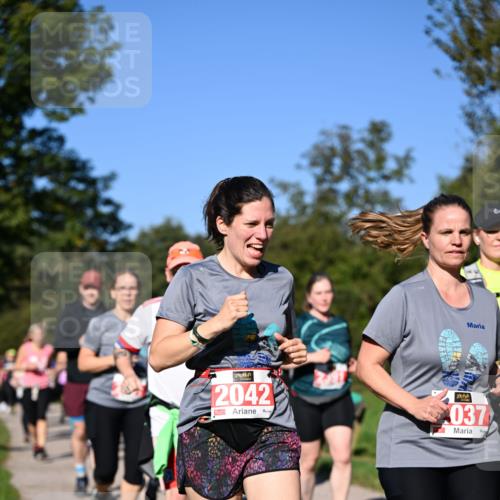 22.09.2024 - 32. Volkslauf durch das schöne Alstertal Dr. Thomas Lammeyer http://msf.ph/oto/7107394 22.09.2024 10:28:03 Laufen 2042, 037 meine-sportfotos.de