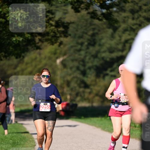 22.09.2024 - 32. Volkslauf durch das schöne Alstertal Dr. Thomas Lammeyer http://msf.ph/oto/7107585 22.09.2024 10:28:46 Laufen 2255, 2025 meine-sportfotos.de