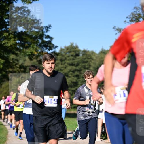 22.09.2024 - 32. Volkslauf durch das schöne Alstertal Dr. Thomas Lammeyer http://msf.ph/oto/7108212 22.09.2024 10:36:22 Laufen 3164, 3316 meine-sportfotos.de