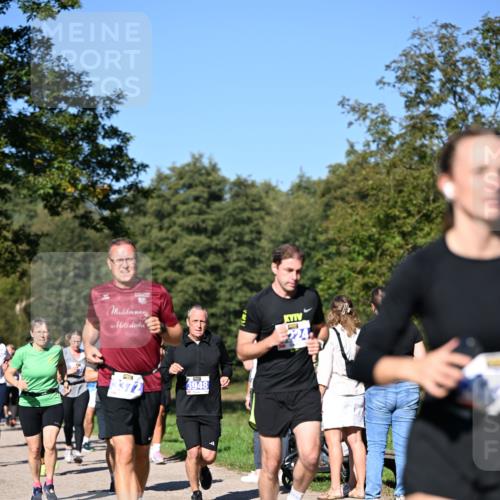 22.09.2024 - 32. Volkslauf durch das schöne Alstertal Dr. Thomas Lammeyer http://msf.ph/oto/7108292 22.09.2024 10:36:36 Laufen 10, 3948 meine-sportfotos.de