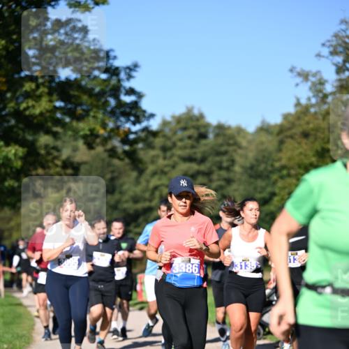 22.09.2024 - 32. Volkslauf durch das schöne Alstertal Dr. Thomas Lammeyer http://msf.ph/oto/7108303 22.09.2024 10:36:41 Laufen 3386, 3135, 13 meine-sportfotos.de