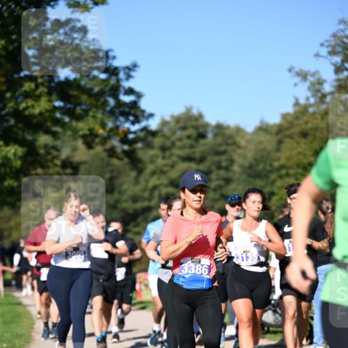 22.09.2024 - 32. Volkslauf durch das schöne Alstertal Dr. Thomas Lammeyer http://msf.ph/oto/7108304 22.09.2024 10:36:41 Laufen 3005, 3386, 3135 meine-sportfotos.de