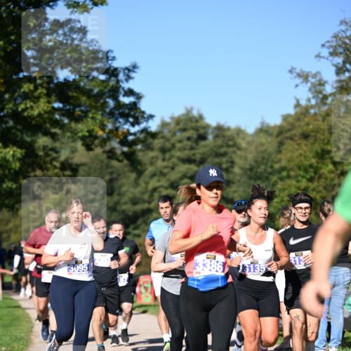 22.09.2024 - 32. Volkslauf durch das schöne Alstertal Dr. Thomas Lammeyer http://msf.ph/oto/7108305 22.09.2024 10:36:41 Laufen 13095, 13386, 13135 meine-sportfotos.de