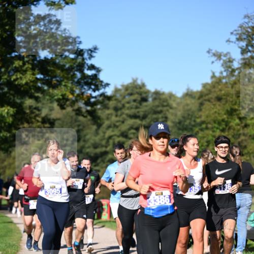 22.09.2024 - 32. Volkslauf durch das schöne Alstertal Dr. Thomas Lammeyer http://msf.ph/oto/7108306 22.09.2024 10:36:41 Laufen 3095, 4352, 167, 386, 3136 meine-sportfotos.de