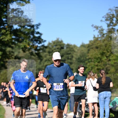 22.09.2024 - 32. Volkslauf durch das schöne Alstertal Dr. Thomas Lammeyer http://msf.ph/oto/7108393 22.09.2024 10:36:56 Laufen 20, 3101 meine-sportfotos.de