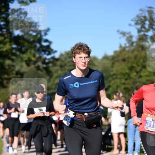 22.09.2024 - 32. Volkslauf durch das schöne Alstertal Dr. Thomas Lammeyer http://msf.ph/oto/7108436 22.09.2024 10:37:05 Laufen 08, 319, 1 meine-sportfotos.de