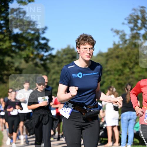 22.09.2024 - 32. Volkslauf durch das schöne Alstertal Dr. Thomas Lammeyer http://msf.ph/oto/7108437 22.09.2024 10:37:06 Laufen  meine-sportfotos.de