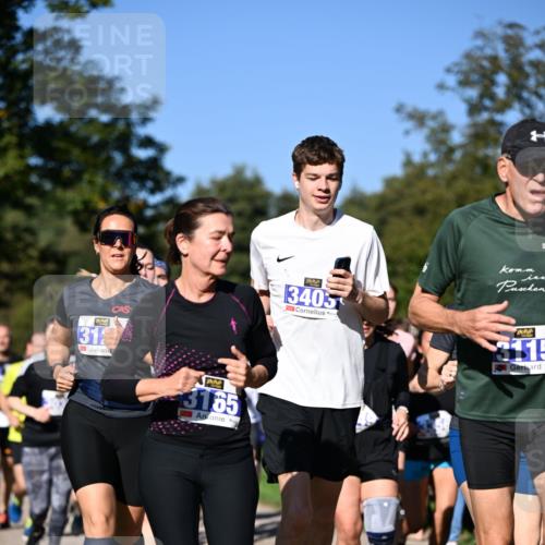 22.09.2024 - 32. Volkslauf durch das schöne Alstertal Dr. Thomas Lammeyer http://msf.ph/oto/7108462 22.09.2024 10:37:10 Laufen 31, 3165, 3405, 3115 meine-sportfotos.de