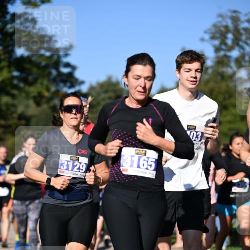 22.09.2024 - 32. Volkslauf durch das schöne Alstertal Dr. Thomas Lammeyer http://msf.ph/oto/7108466 22.09.2024 10:37:11 Laufen 3129, 3165, 03 meine-sportfotos.de