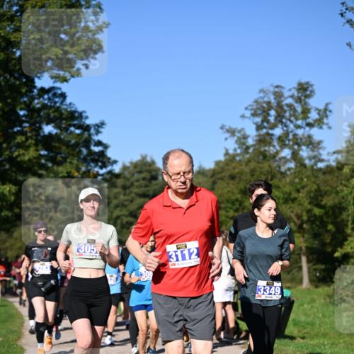 22.09.2024 - 32. Volkslauf durch das schöne Alstertal Dr. Thomas Lammeyer http://msf.ph/oto/7108531 22.09.2024 10:37:28 Laufen 305, 30, 3112, 3349 meine-sportfotos.de