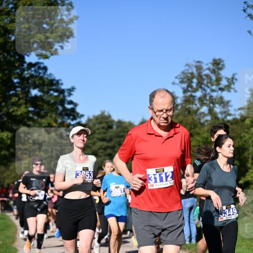 22.09.2024 - 32. Volkslauf durch das schöne Alstertal Dr. Thomas Lammeyer http://msf.ph/oto/7108534 22.09.2024 10:37:28 Laufen 3253, 3081, 3112, 3349 meine-sportfotos.de
