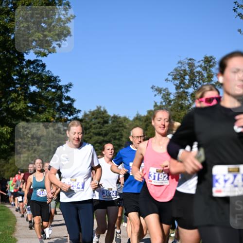 22.09.2024 - 32. Volkslauf durch das schöne Alstertal Dr. Thomas Lammeyer http://msf.ph/oto/7108569 22.09.2024 10:37:35 Laufen 3192, 324, 3149, 3034 meine-sportfotos.de