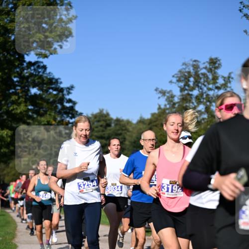 22.09.2024 - 32. Volkslauf durch das schöne Alstertal Dr. Thomas Lammeyer http://msf.ph/oto/7108570 22.09.2024 10:37:35 Laufen 3254, 13034, 319 meine-sportfotos.de