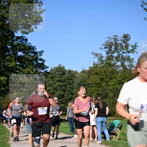 22.09.2024 - 32. Volkslauf durch das schöne Alstertal Dr. Thomas Lammeyer http://msf.ph/oto/7108593 22.09.2024 10:37:39 Laufen 3033 meine-sportfotos.de