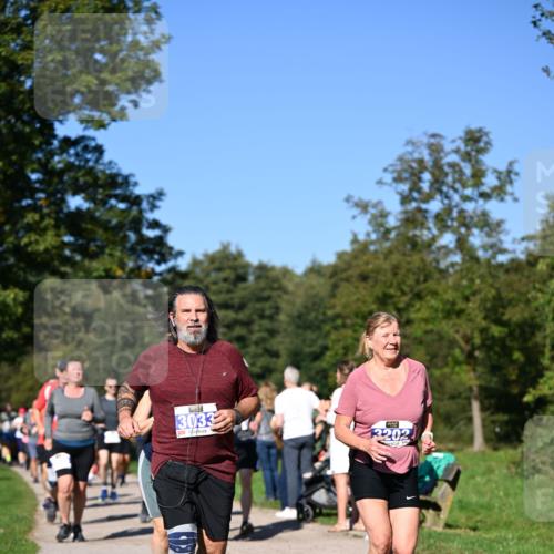 22.09.2024 - 32. Volkslauf durch das schöne Alstertal Dr. Thomas Lammeyer http://msf.ph/oto/7108596 22.09.2024 10:37:40 Laufen 3033, 2202, 3202 meine-sportfotos.de