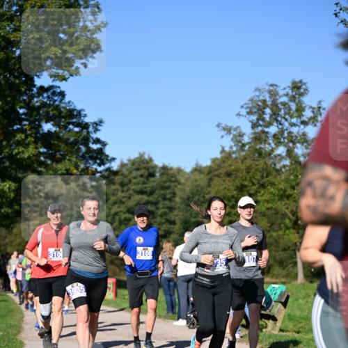 22.09.2024 - 32. Volkslauf durch das schöne Alstertal Dr. Thomas Lammeyer http://msf.ph/oto/7108609 22.09.2024 10:37:42 Laufen 3100, 3935, 3108, 107 meine-sportfotos.de
