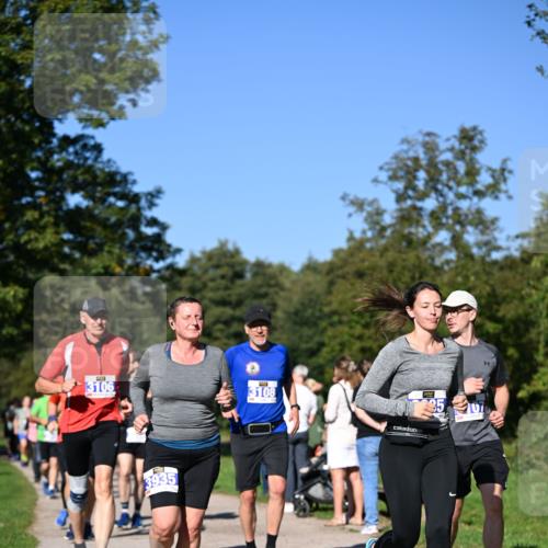 22.09.2024 - 32. Volkslauf durch das schöne Alstertal Dr. Thomas Lammeyer http://msf.ph/oto/7108614 22.09.2024 10:37:43 Laufen 3106, 3935, 3108 meine-sportfotos.de