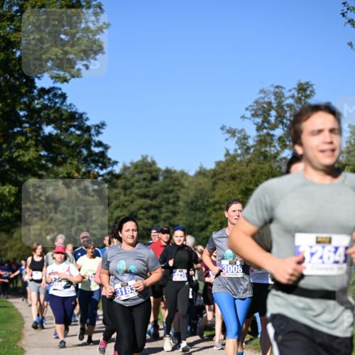 22.09.2024 - 32. Volkslauf durch das schöne Alstertal Dr. Thomas Lammeyer http://msf.ph/oto/7108674 22.09.2024 10:37:53 Laufen 3008, 3183, 3264 meine-sportfotos.de
