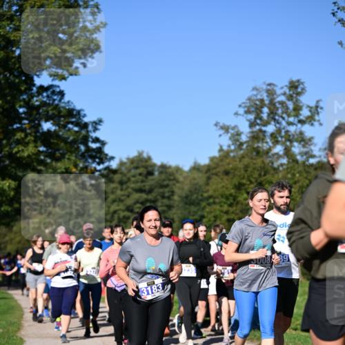 22.09.2024 - 32. Volkslauf durch das schöne Alstertal Dr. Thomas Lammeyer http://msf.ph/oto/7108677 22.09.2024 10:37:54 Laufen 3183, 00889 meine-sportfotos.de