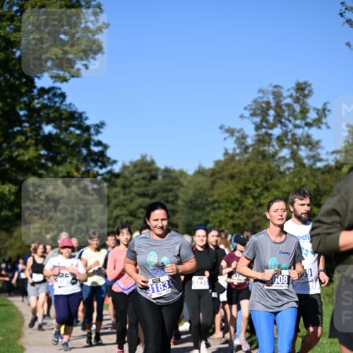 22.09.2024 - 32. Volkslauf durch das schöne Alstertal Dr. Thomas Lammeyer http://msf.ph/oto/7108678 22.09.2024 10:37:54 Laufen 3183, 008, 9 meine-sportfotos.de