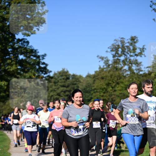 22.09.2024 - 32. Volkslauf durch das schöne Alstertal Dr. Thomas Lammeyer http://msf.ph/oto/7108680 22.09.2024 10:37:54 Laufen 25, 3183, 151, 3008, 89 meine-sportfotos.de