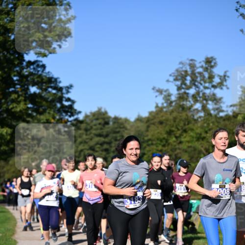 22.09.2024 - 32. Volkslauf durch das schöne Alstertal Dr. Thomas Lammeyer http://msf.ph/oto/7108681 22.09.2024 10:37:54 Laufen 316, 35, 3151, 908, 8 meine-sportfotos.de