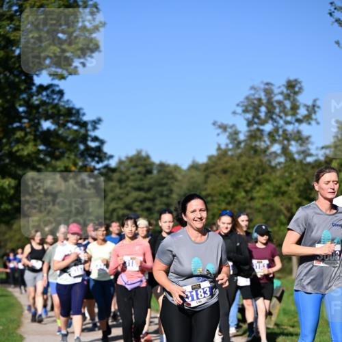 22.09.2024 - 32. Volkslauf durch das schöne Alstertal Dr. Thomas Lammeyer http://msf.ph/oto/7108682 22.09.2024 10:37:54 Laufen 318, 3183, 15, 15008 meine-sportfotos.de