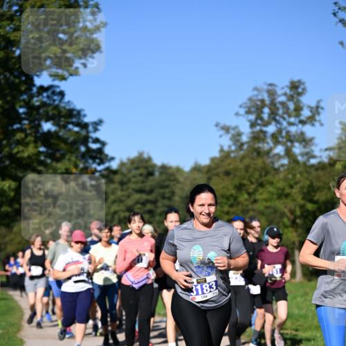 22.09.2024 - 32. Volkslauf durch das schöne Alstertal Dr. Thomas Lammeyer http://msf.ph/oto/7108683 22.09.2024 10:37:54 Laufen 3183 meine-sportfotos.de