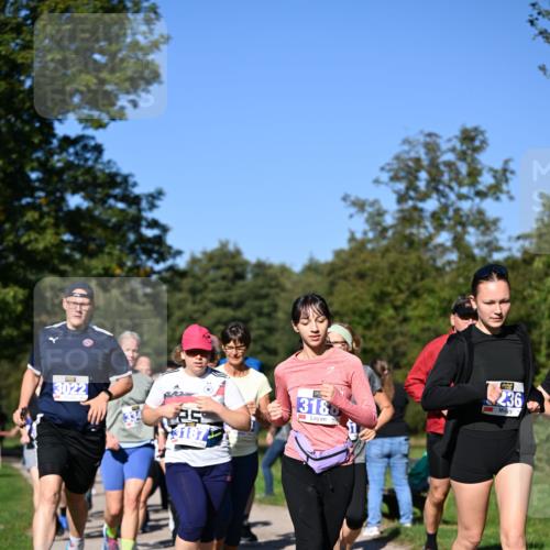 22.09.2024 - 32. Volkslauf durch das schöne Alstertal Dr. Thomas Lammeyer http://msf.ph/oto/7108693 22.09.2024 10:37:56 Laufen 3022, 3187, 3188, 236 meine-sportfotos.de