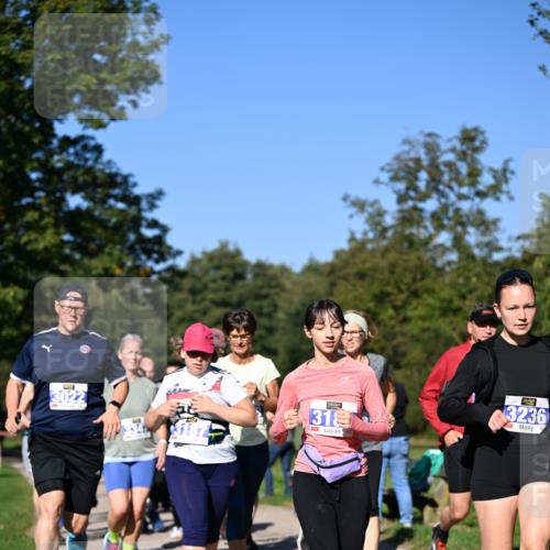 22.09.2024 - 32. Volkslauf durch das schöne Alstertal Dr. Thomas Lammeyer http://msf.ph/oto/7108694 22.09.2024 10:37:56 Laufen 3022, 319, 3236 meine-sportfotos.de