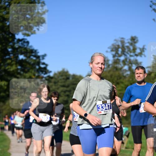 22.09.2024 - 32. Volkslauf durch das schöne Alstertal Dr. Thomas Lammeyer http://msf.ph/oto/7108711 22.09.2024 10:37:59 Laufen 3347 meine-sportfotos.de