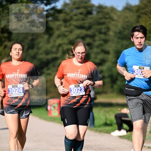 22.09.2024 - 32. Volkslauf durch das schöne Alstertal Dr. Thomas Lammeyer http://msf.ph/oto/7108876 22.09.2024 10:38:56 Laufen 3024, 30, 13023, 23 meine-sportfotos.de