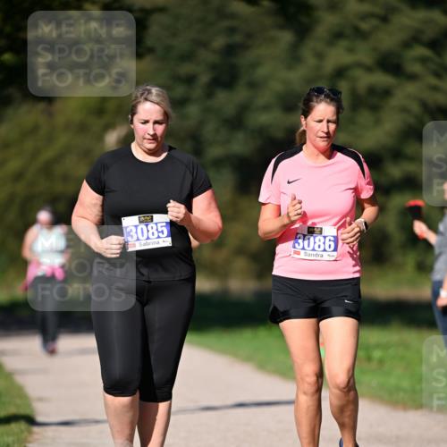 22.09.2024 - 32. Volkslauf durch das schöne Alstertal Dr. Thomas Lammeyer http://msf.ph/oto/7108907 22.09.2024 10:39:09 Laufen 3085, 3086 meine-sportfotos.de
