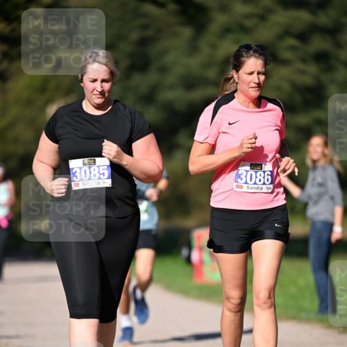 22.09.2024 - 32. Volkslauf durch das schöne Alstertal Dr. Thomas Lammeyer http://msf.ph/oto/7108914 22.09.2024 10:39:10 Laufen 3085, 3086 meine-sportfotos.de