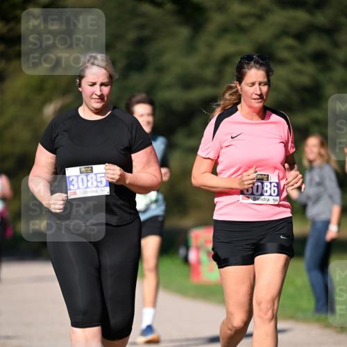 22.09.2024 - 32. Volkslauf durch das schöne Alstertal Dr. Thomas Lammeyer http://msf.ph/oto/7108915 22.09.2024 10:39:10 Laufen 3085, 5086 meine-sportfotos.de