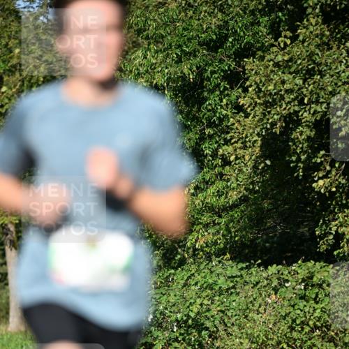 22.09.2024 - 32. Volkslauf durch das schöne Alstertal Dr. Thomas Lammeyer http://msf.ph/oto/7108925 22.09.2024 10:39:14 Laufen  meine-sportfotos.de